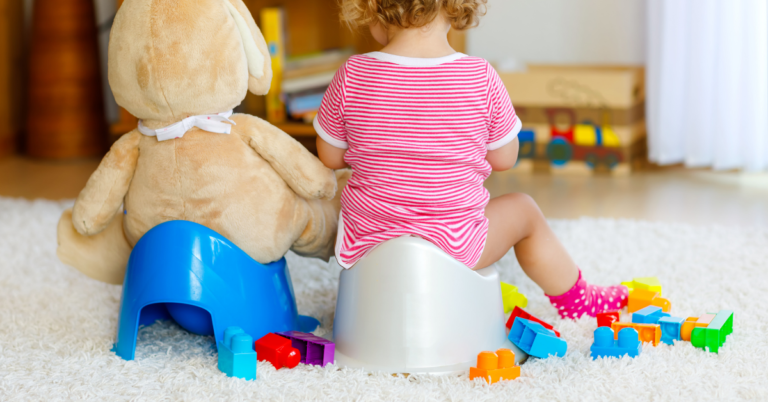 How to Potty Train A Toddler